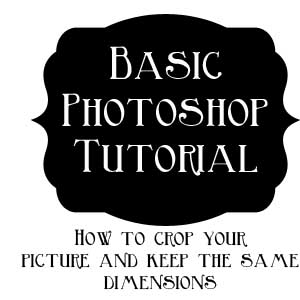 basicphotoshop copy
