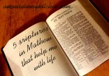 5scirpturesinmathew copy