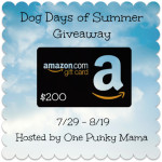 $200 Amazon Giveaway