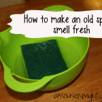 Revitalize A Smelly Sponge