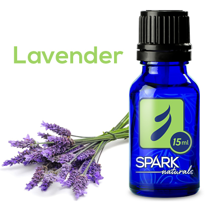 lavender