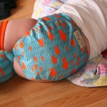 Lotus Bumz Cloth Diaper Review and Giveaway!